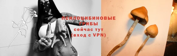 молекула духа Алзамай