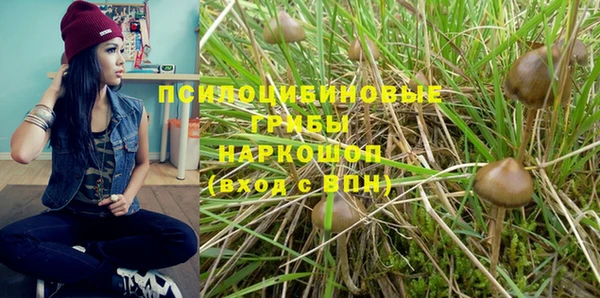 молекула духа Алзамай