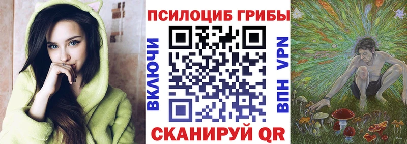 Галлюциногенные грибы Psilocybe  Краснообск 